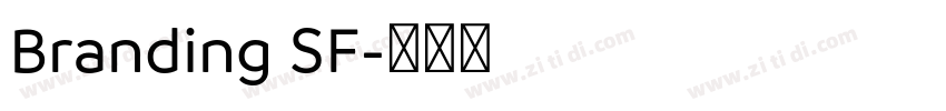 Branding SF字体转换